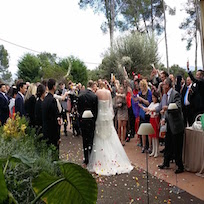 Bodas de Plata y bodas de oro